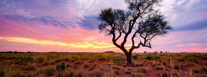 Thumbnail for Survey of Mobile and LMR Communications Use